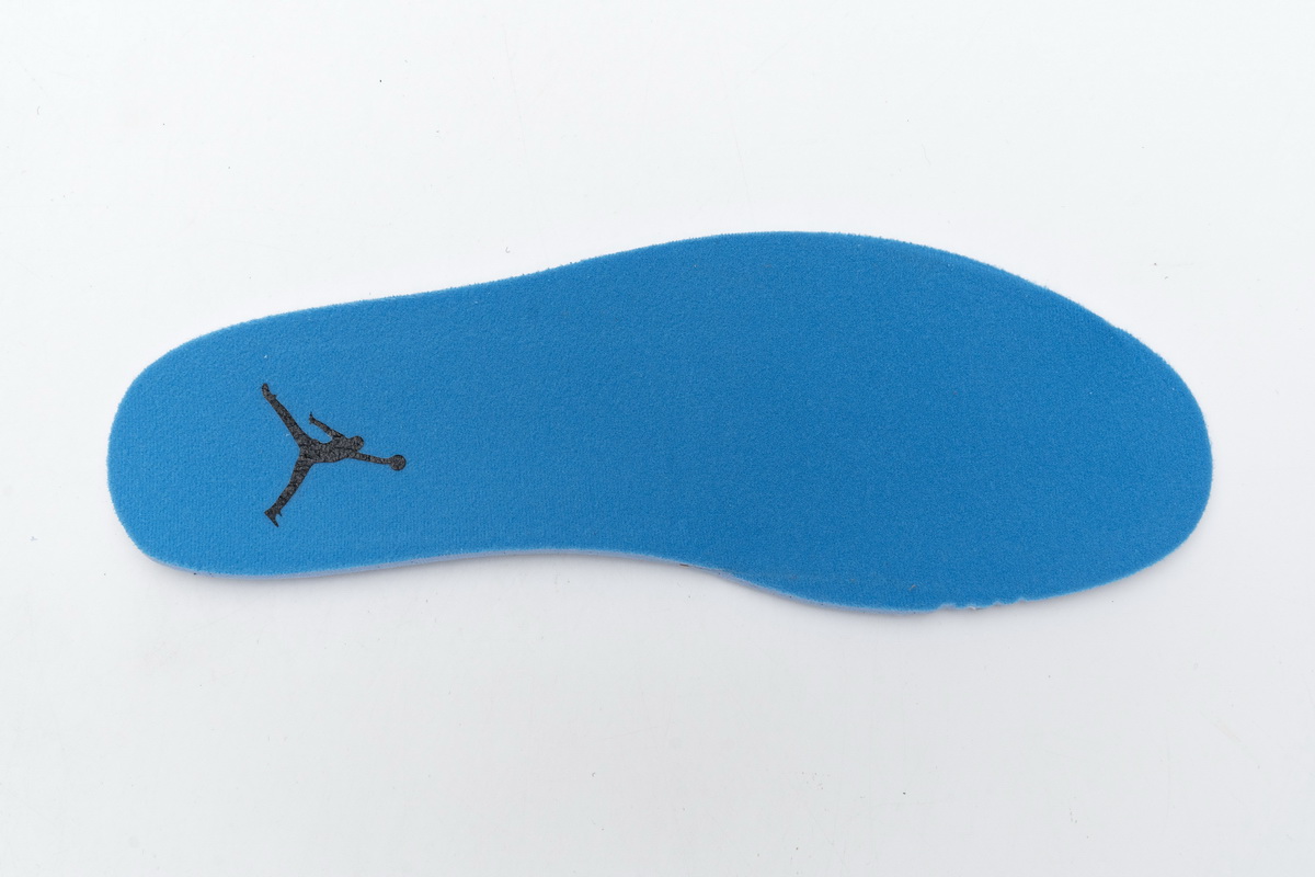 Air Jordan 1 Low Palm Tree CK3022-107