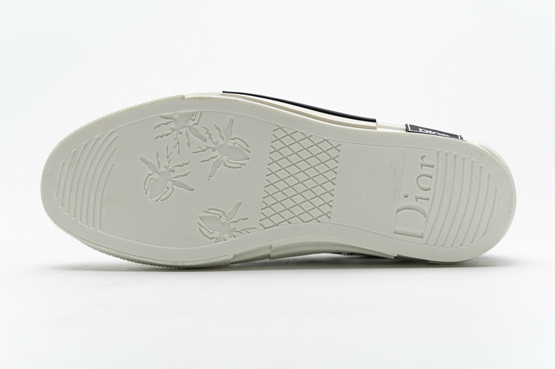 Dior B23 HT Oblique Transparency Low H565 White
