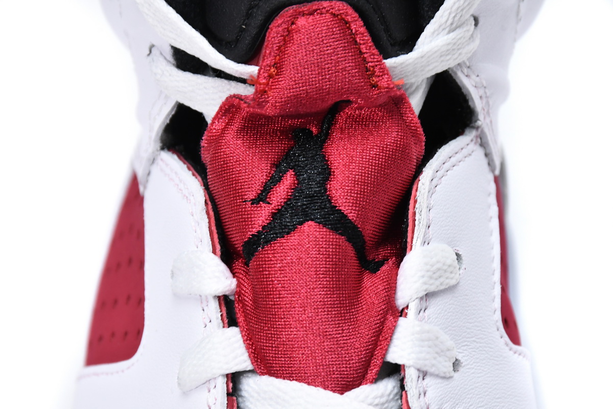 Air Jordan 6 CarMine CT8529-106