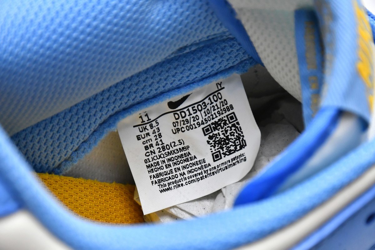 Nike Dunk Low Coast DD1503-100