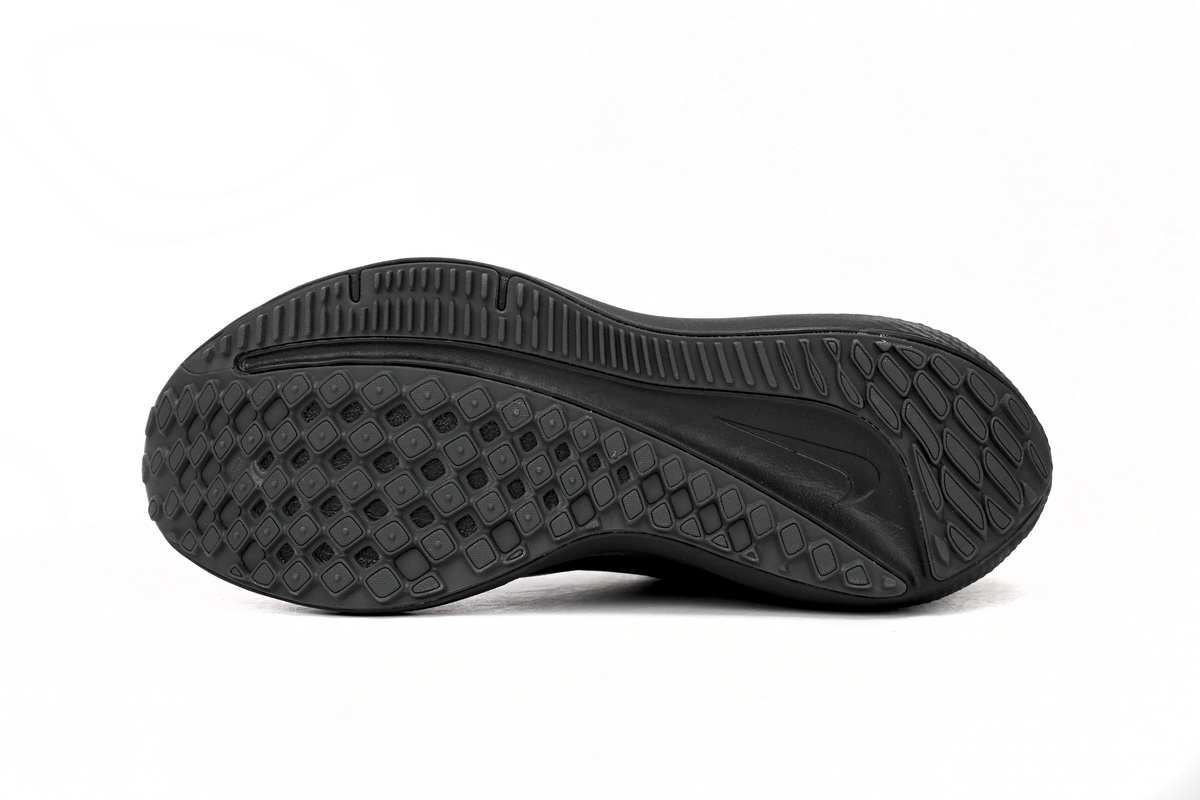 Nike Air Winflo 9 Black DD6203-002