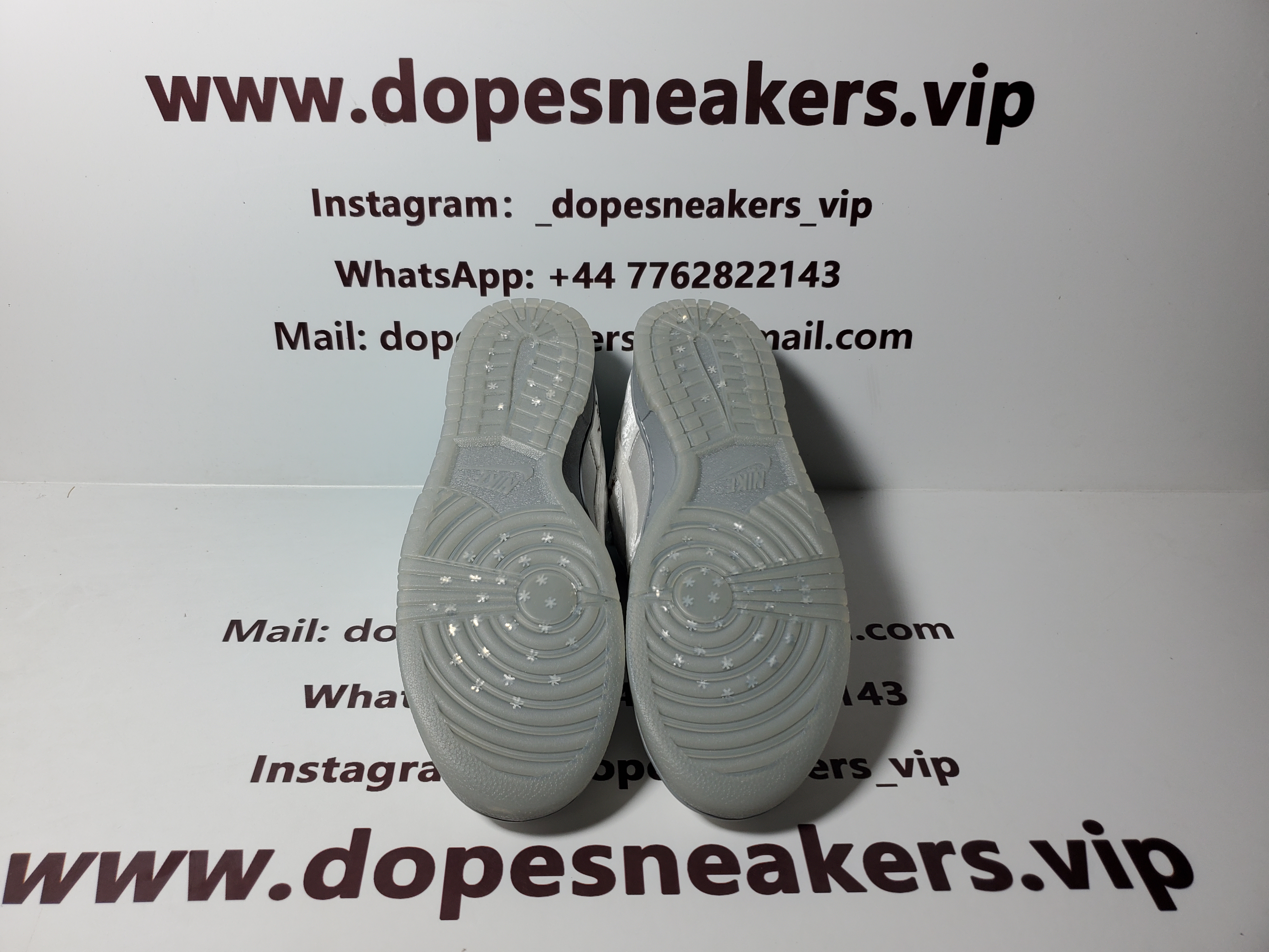 Nike Dunk Low Ice DO2326-001