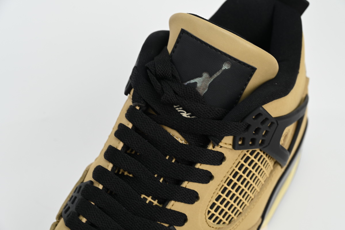 Air Jordan 4 Retro Fossil (W) AQ9129-200