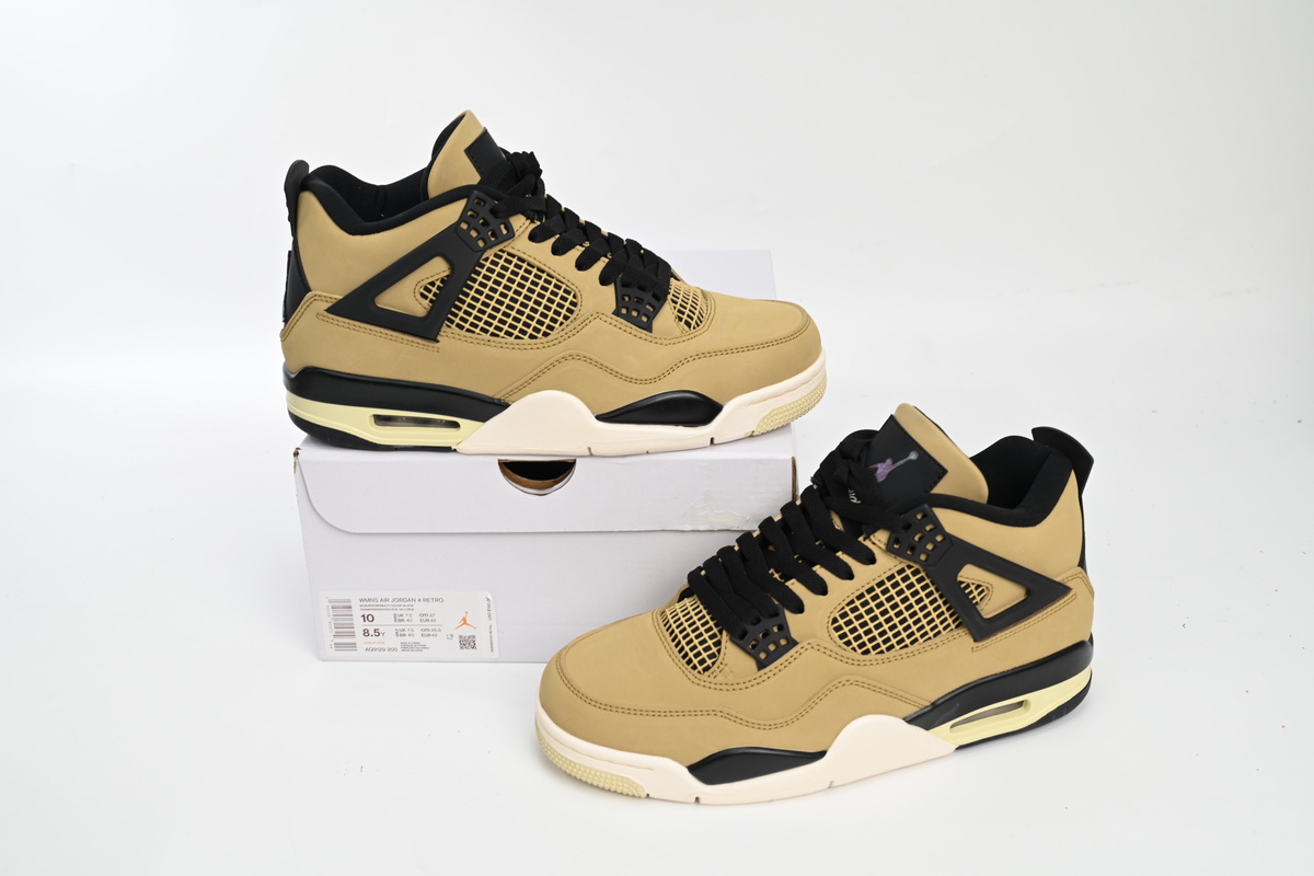 Air Jordan 4 Retro Fossil (W) AQ9129-200