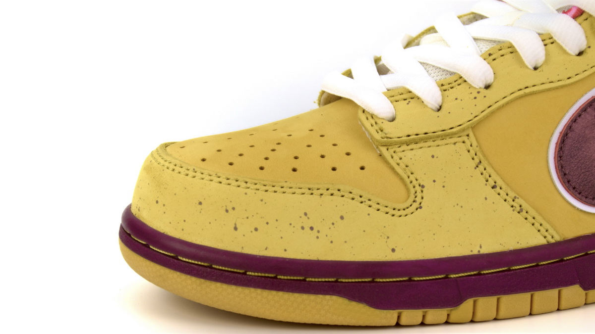 Concepts x NK SB Dunk Low "Yellow Lobster 313170-137566
