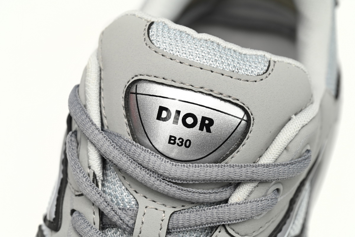 Dior B30 Gray 3SN279ZRD H868