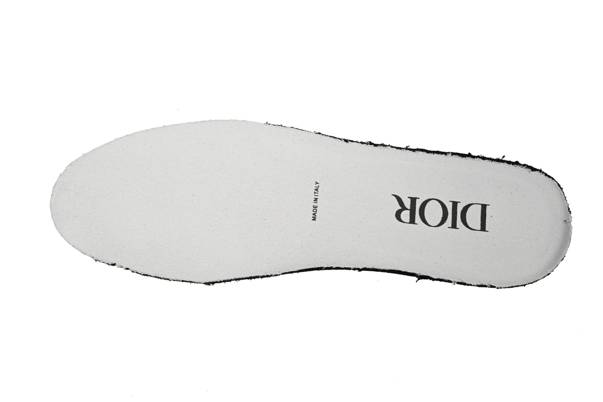 Dior B30 Gray 3SN279ZRD H868