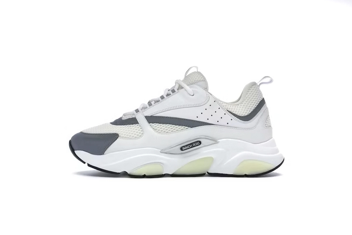 Dior B22 White Grey