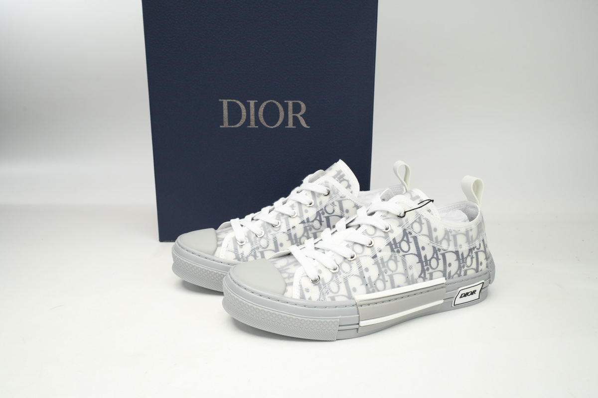 Dior B23 HT Oblique Low Cut Blue Gray