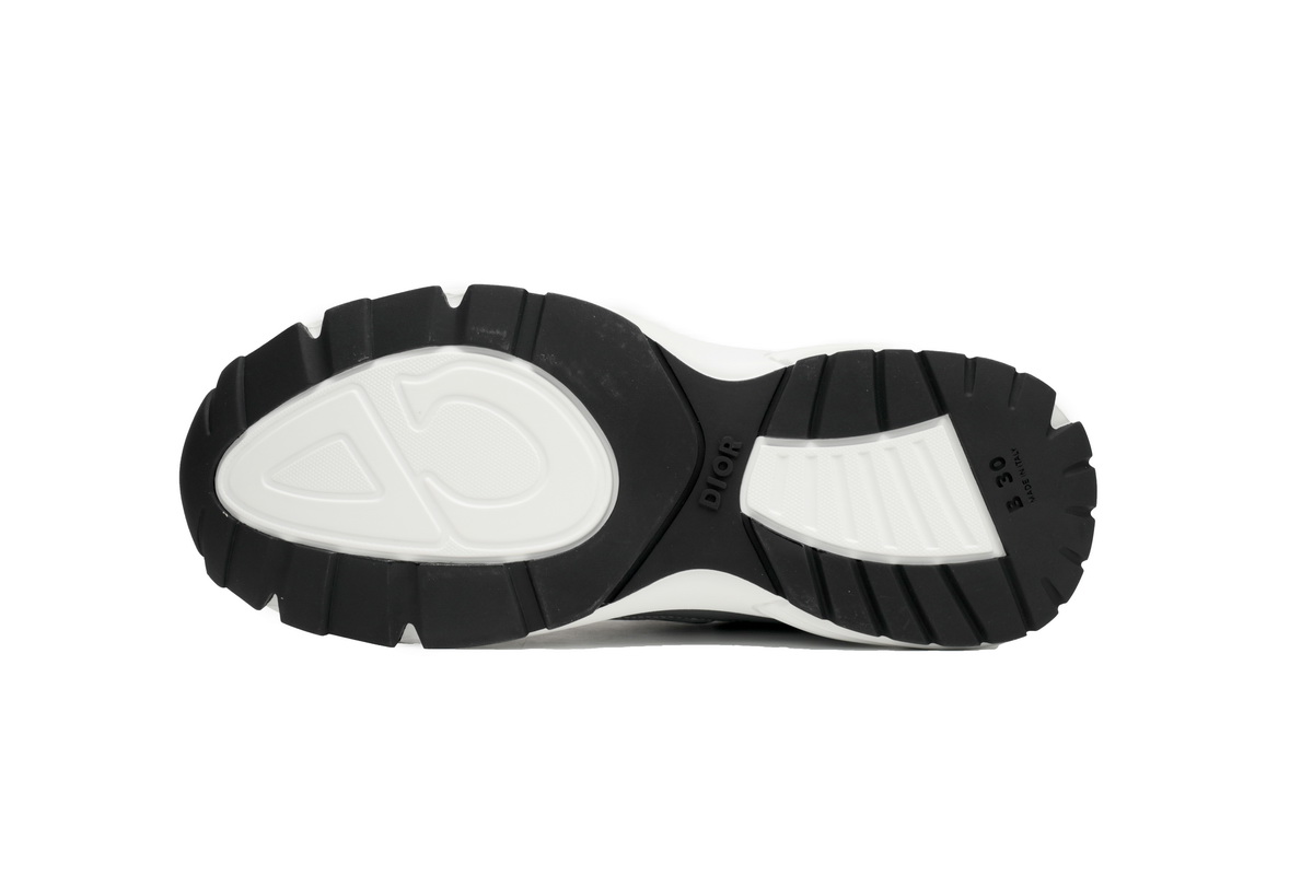 Dior B30 White Mesh Silver-Tone Metallic Calfskin