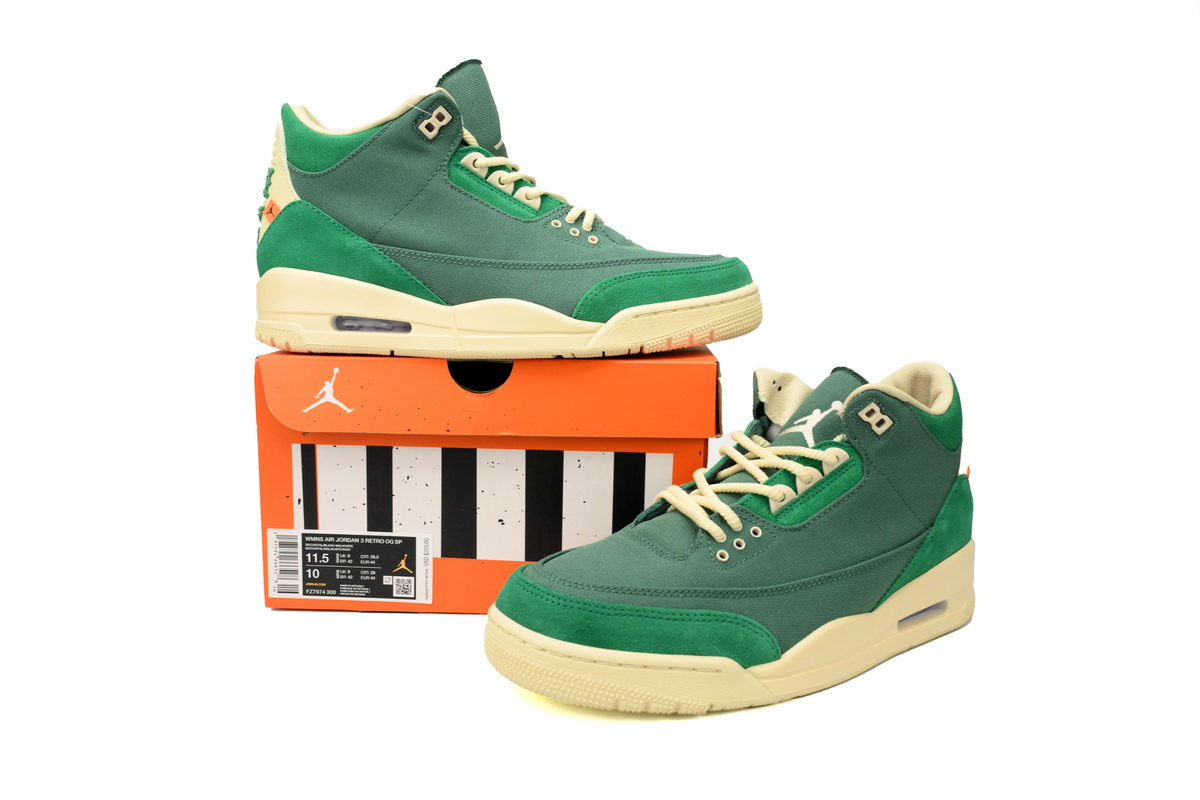 Air Jordan 3 Retro SP Nina Abney Bicoastal FZ7974-300