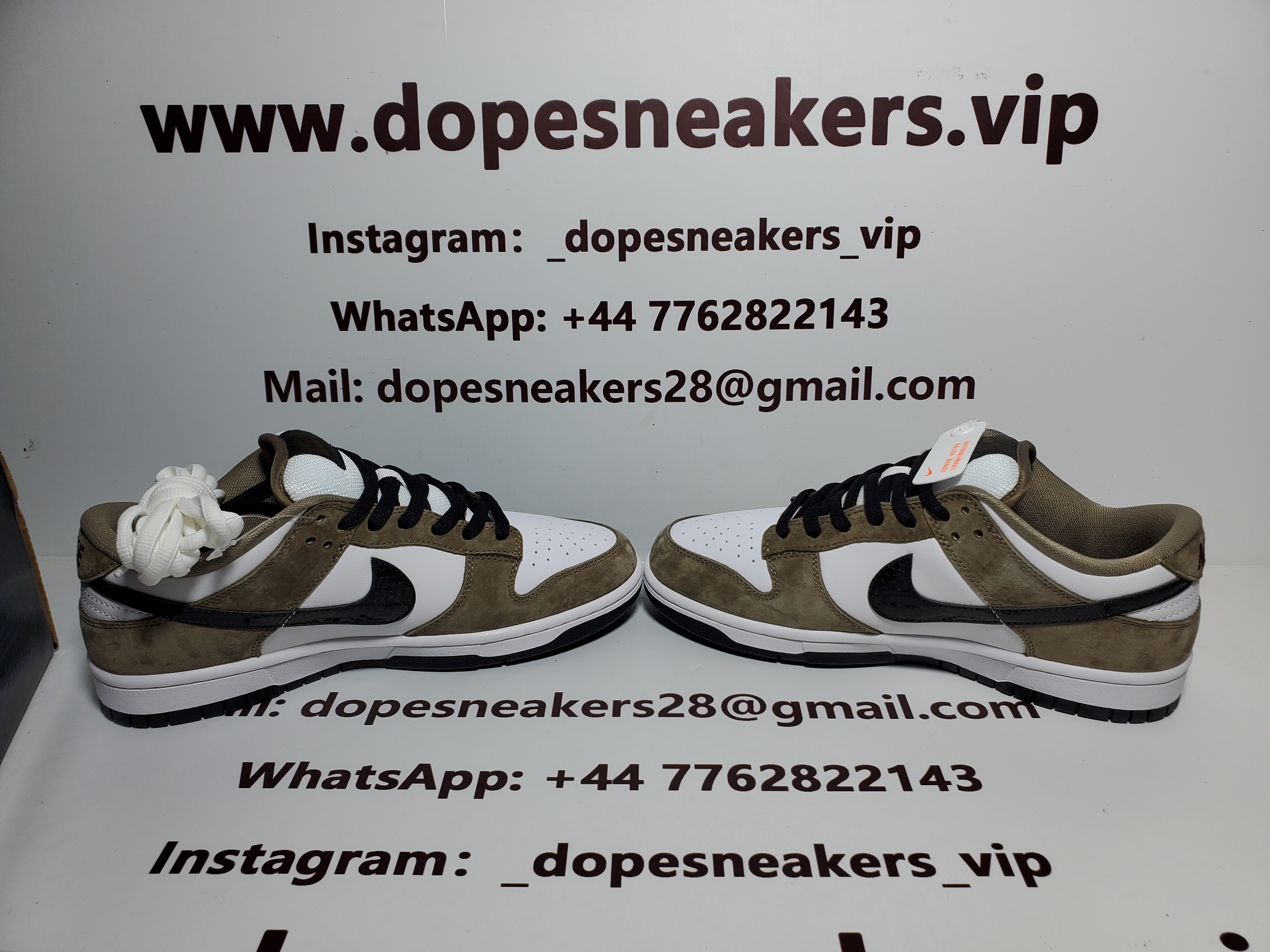 Nike SB Dunk Low Trail White Brown 304292-102