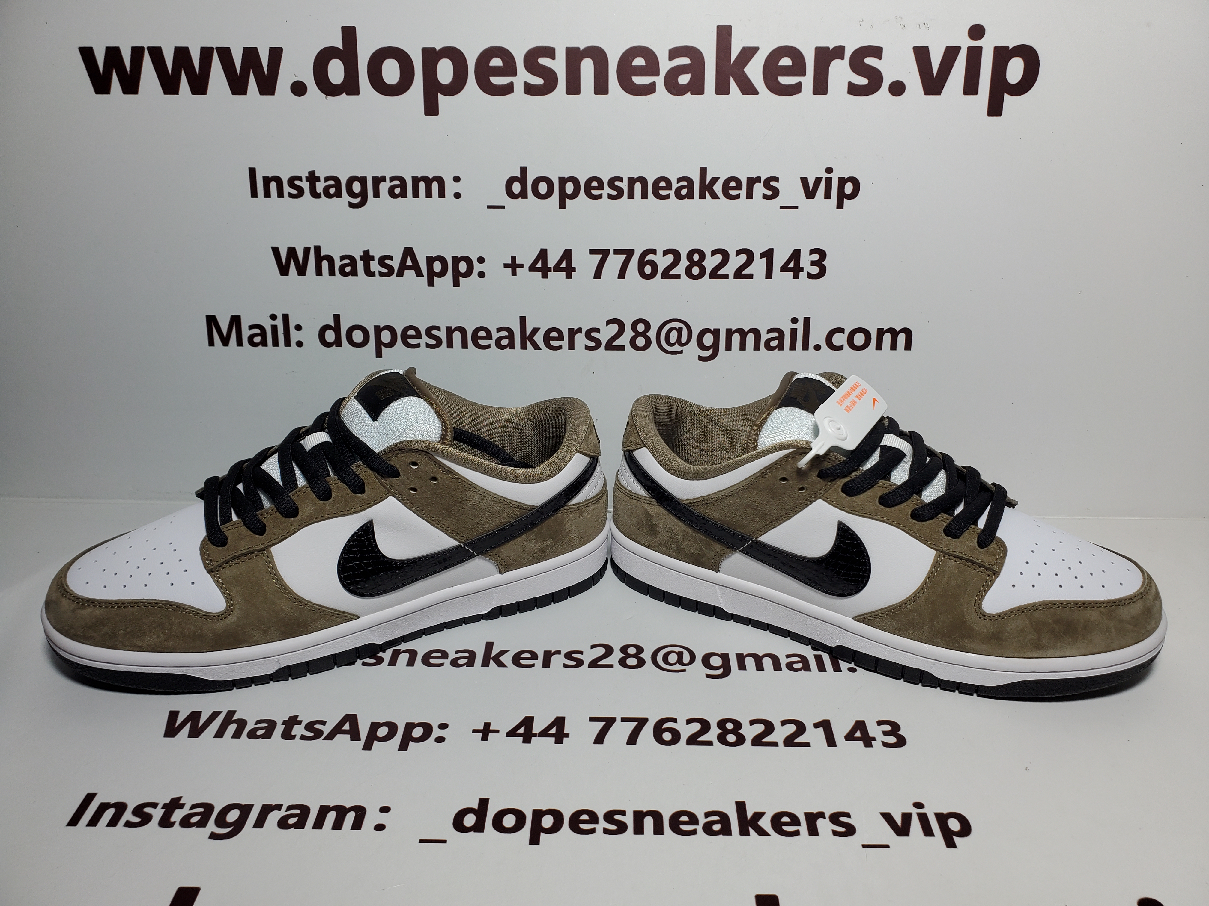 Nike SB Dunk Low Trail White Brown 304292-102