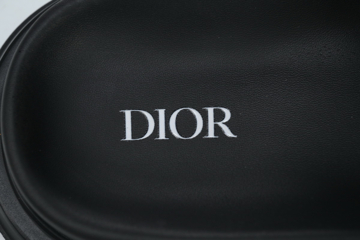 Dior Aqua Brown