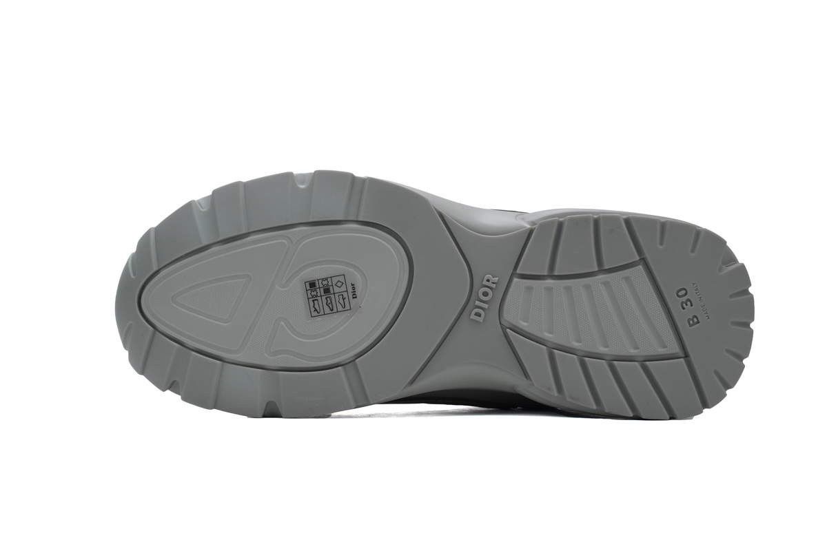 Dior B30 Sneakers Light Grey